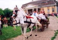 /album/fotogaleria/maria-znaky-typickej-slovenskej-svadby-2-jpg/